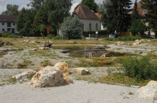Lebensraum für Wechselkröte Am Blütenanger / Pappelallee / Am Schnepfenweg