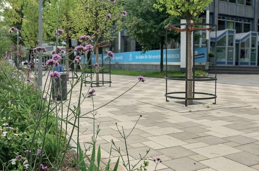 Altstadtring Nordwest: Oberflächenwiederherstellung Oskar-von-Miller-Ring