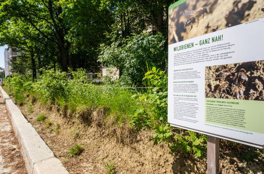 Öffentliche Grünflächen im Prinz-Eugen-Park