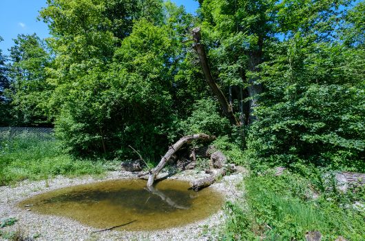 Öffentliche Grünflächen im Prinz-Eugen-Park