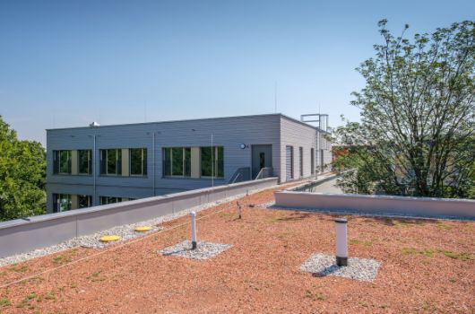 Gründach zweigeschossiger Baukörper