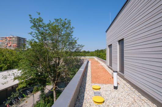 Gründach zweigeschossiger Verbindungsbau