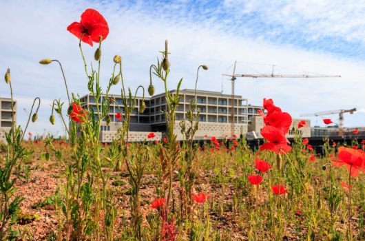 Blick vom Dach des Außensportgebäudes auf Gymnasium 