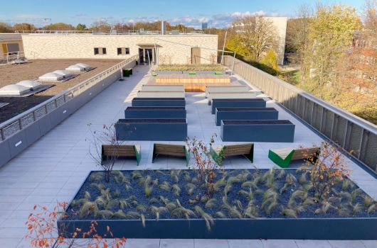 Grünes Klassenzimmer auf dem Dach der Mensa