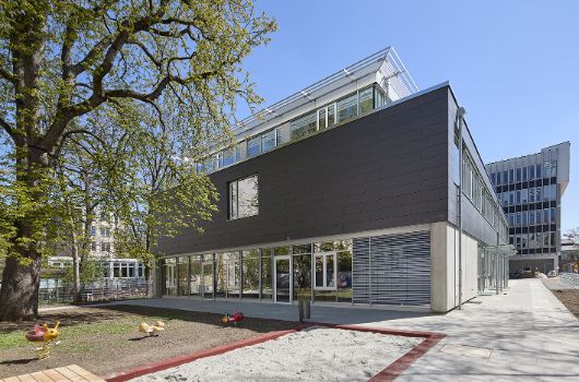 Neugestaltung Freifläche Haus für Kinder - Erhalt des Baumbestands 
