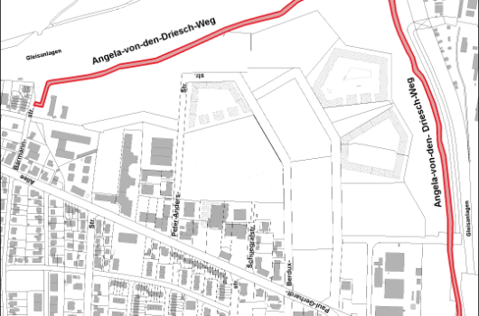 Angela-von-den-Driesch-Weg - Verlauf