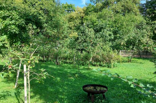 Erholungsfläche Forstenried - 1