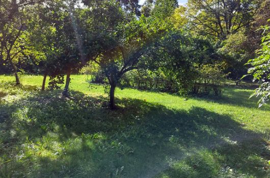 Erholungsfläche Forstenried - 2