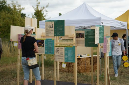 ZINK Tage Infowand von Zwischennutzungen