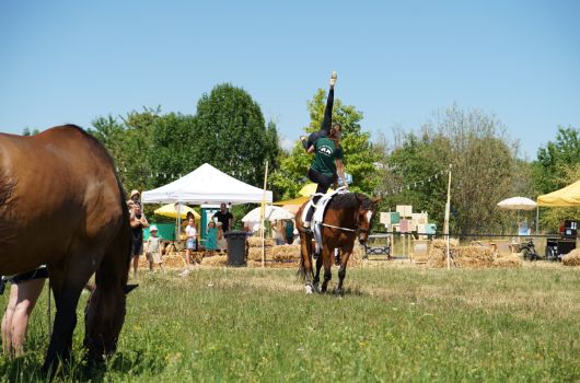 ZINK Tage Voltigier-Vorführung