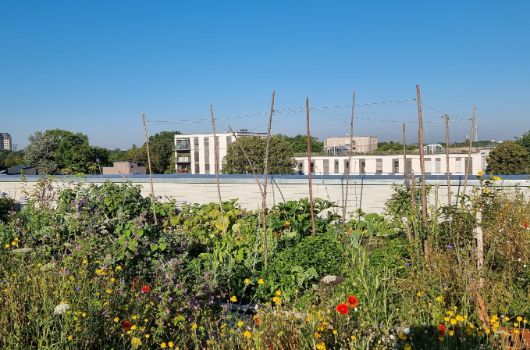 Dachgarten Bürgerbauverein Prinz-Eugen-Park