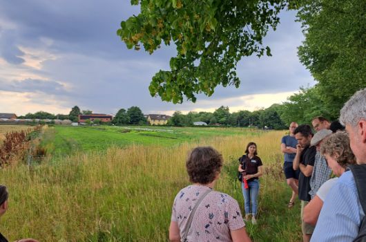 1. Sommeraktion Kräuterwanderung im Landschaftspark West