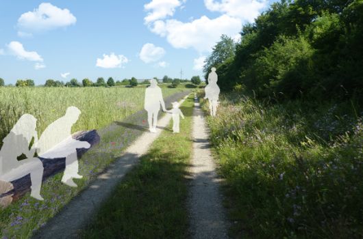 Visualisierung Feldflur Freiham am Autobahnwall