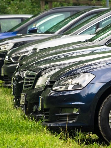 Mehrere Autos stehen geparkt nebeneinander auf einer Wiese