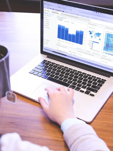 Frau schaut auf einen Laptop mit verschiednenen Grafiken und Auswertungen