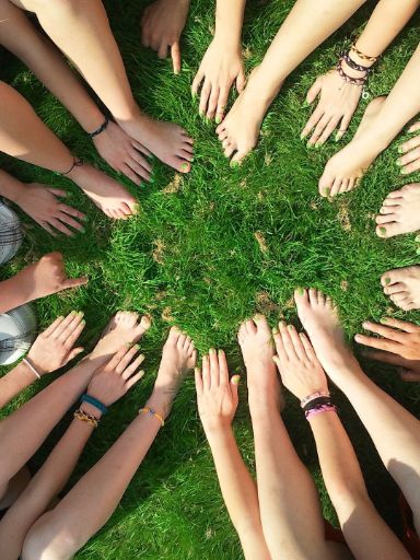 Kreis aus Händen auf einer grünen Wiese