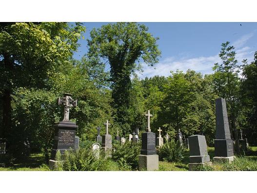 Sommer im Alten Südfriedhof